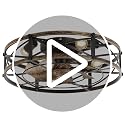 20-Inch White Gold Industrial Caged Ceiling Fan with Light & Remote