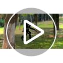 4ft Bigfoot Metal Garden Statue Outdoor Decor Yard Art for Lawn & Garden