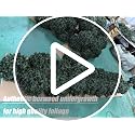 KYESYES 27" Artificial Boxwood Bush Balls with Spike - UV & Weather Resistant, 2 Pack, Green - Indoor/Outdoor Garden Decor