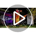 Giant 9.5 FT Halloween Inflatable Double Headed Dragon with LED Lights - Outdoor Yard Decor