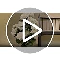 White Faux Hydrangea Tree Set - 2 Pcs 32 Inch Artificial Flowering Plants with Pot for Fall Decor