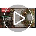 Pre-Lit Frosted Berry Christmas Garland - 9ft Indoor Outdoor Holiday Decor