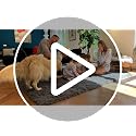 6x9 Ft Ivory Machine Washable Large Area Rug for Living Room & Bedroom - Soft Fluffy Shaggy Floor Carpet