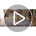 Micgeek 8x10 Beige Brown Washable Area Rug - Vintage Neutral Non-Slip Living Room Carpet