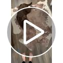 Reddish Brown Cow Print Rug 7.6x6.2 ft Faux Cowhide Western Decor